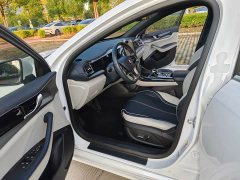 BYD Qin PLUS EV 400KM Luxury - ფოტო 9