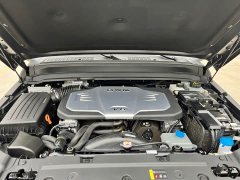 Tank 300 330 3.0T V6 - ფოტო 14