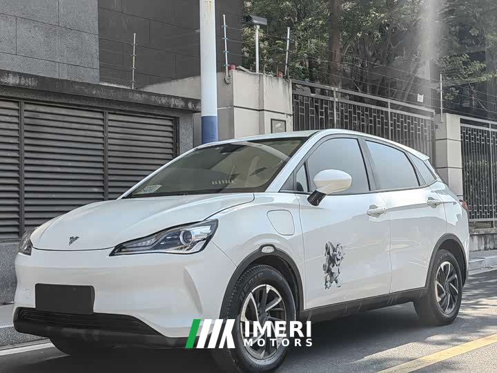 Neta V Long-Range Industry Custom Edition