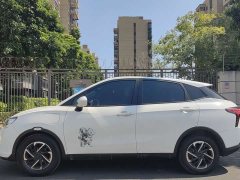 Neta V Long-Range Industry Custom Edition - ფოტო 17