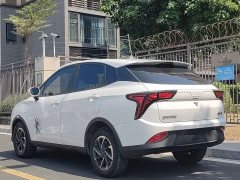 Neta V Long-Range Industry Custom Edition - ფოტო 4