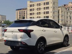 Neta V Long-Range Industry Custom Edition - ფოტო 6