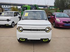 Geely Panda Mini 210km Vitality Edition - ფოტო 2
