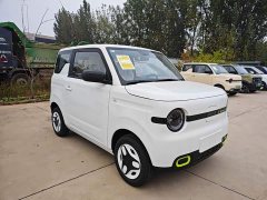 Geely Panda Mini 210km Vitality Edition - ფოტო 3