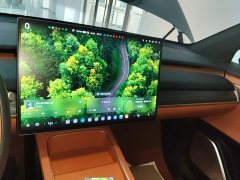Nio Lerado L60 60kWh Rear-Wheel Drive - photo 12