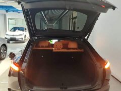 Nio Lerado L60 60kWh Rear-Wheel Drive - photo 18