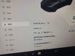 Tesla Model 3 Rear-Wheel Drive - ფოტო 11