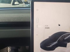 Tesla Model 3 Rear-Wheel Drive - ფოტო 13
