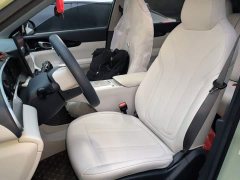 Geely Xing Yuan 310km Dream Edition - ფოტო 16
