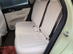 Geely Xing Yuan 310km Dream Edition - ფოტო 18