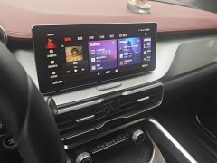 Geely Bingyue PRO 260T DCT Knight - photo 13