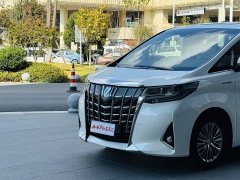 Toyota Alphard Hybrid 2.5L Luxury - photo 8