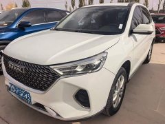 Haval M6 PLUS 1.5T DCT Elite Smart Connected Edition - ფოტო 1