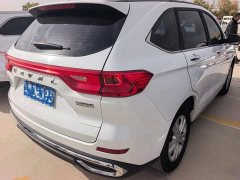 Haval M6 PLUS 1.5T DCT Elite Smart Connected Edition - ფოტო 6