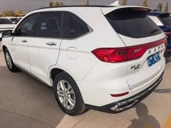 Haval M6 PLUS 1.5T DCT Elite Smart Connected Edition - ფოტო 7