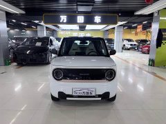 Geely Panda Mini 200km Agile Panda - ფოტო 2