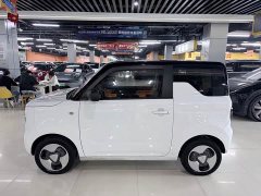 Geely Panda Mini 200km Agile Panda - ფოტო 8
