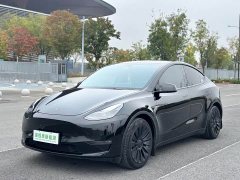 Tesla Model Y Standard Range RWD - ფოტო 1