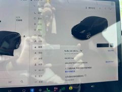 Tesla Model Y Standard Range RWD - ფოტო 12