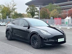 Tesla Model Y Standard Range RWD - ფოტო 17