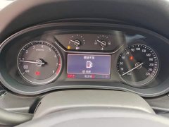 Buick Regal 552T Elite - ფოტო 14