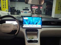 Geely Xing Yuan UP 410km Explorer Edition - photo 13
