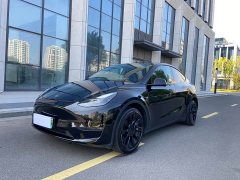 Tesla Model Y Long Range All-Wheel Drive - ფოტო 1
