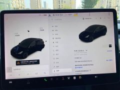 Tesla Model Y Long Range All-Wheel Drive - ფოტო 13