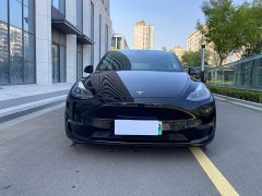 Tesla Model Y Long Range All-Wheel Drive - ფოტო 8