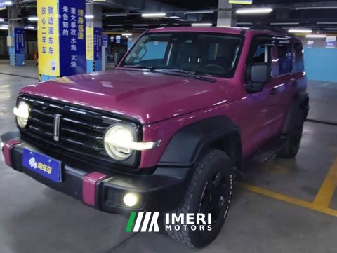 2021 Tank 300 Off-Road Edition 2.0T Conqueror - car from China