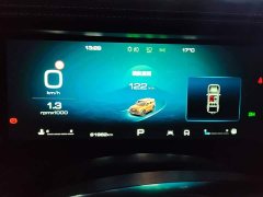 Tank 300 Off-Road Edition 2.0T Conqueror - ფოტო 14
