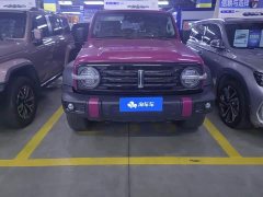 Tank 300 Off-Road Edition 2.0T Conqueror - ფოტო 2