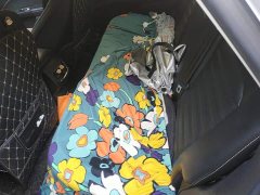 Ford Mondeo EcoBoost 180 Fashion - фото 11