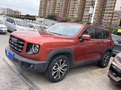 Great Wall Dachshund 1.5T DCT Two-Wheel Drive Malinois-Wangcai Edition - фото 1