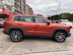 Great Wall Dachshund 1.5T DCT Two-Wheel Drive Malinois-Wangcai Edition - фото 3