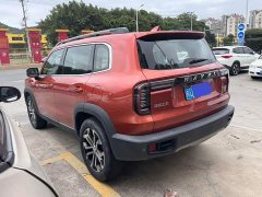 Great Wall Dachshund 1.5T DCT Two-Wheel Drive Malinois-Wangcai Edition - фото 4