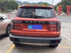 Great Wall Dachshund 1.5T DCT Two-Wheel Drive Malinois-Wangcai Edition - фото 5