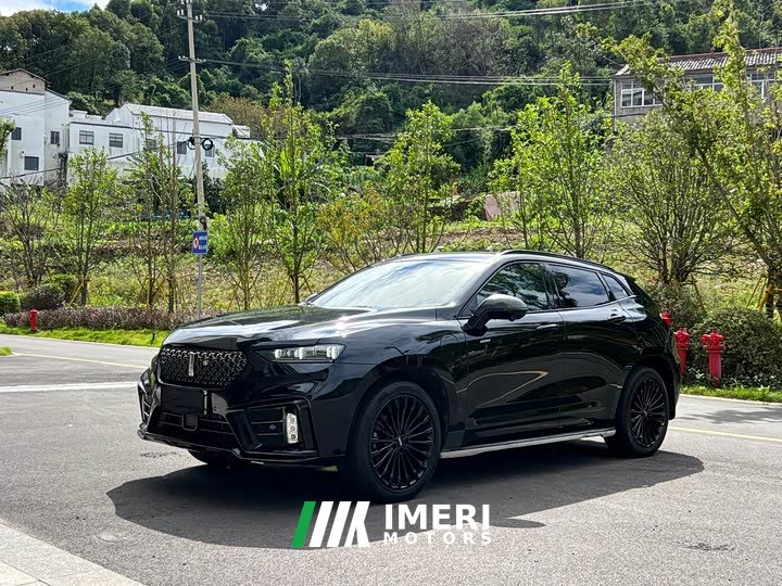 Great Wall WEY VV7 New Energy PHEV 2.0T Flagship - автомобиль из Китая