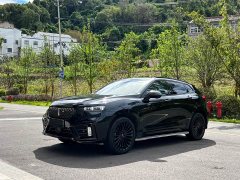 Great Wall WEY VV7 New Energy PHEV 2.0T Flagship - фото 1