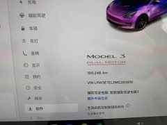 Tesla Model 3 Performance All-Wheel Drive - ფოტო 10