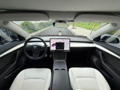 Tesla Model 3 Performance All-Wheel Drive - ფოტო 11