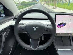 Tesla Model 3 Performance All-Wheel Drive - ფოტო 8
