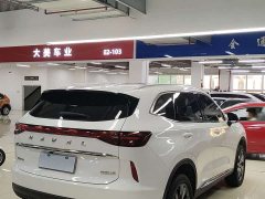 Haval H6 Third Generation 1.5T Automatic Two-Wheel Drive Supreme - ფოტო 10