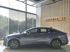 BYD Seal 06 DM-i Smart Drive 120KM Premium Edition - фото 2