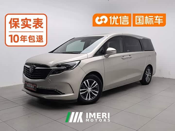 Buick GL8 ES LuZun 653T Respect Edition - автомобиль из Китая
