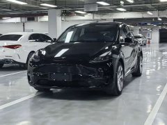Tesla Model Y Standard Range RWD - photo 1