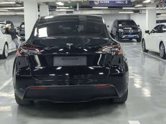 Tesla Model Y Standard Range RWD - photo 18