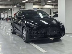 Tesla Model Y Standard Range RWD - photo 3