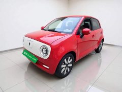 ORA Black Cat 351km Luxury - ფოტო 1