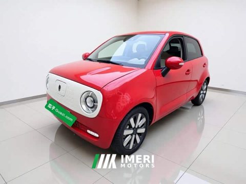 2021 ORA Black Cat 351km Luxury - ავტომობილი ჩინეთიდან